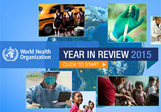 Cover image of the Year in Review 2015 webpage.