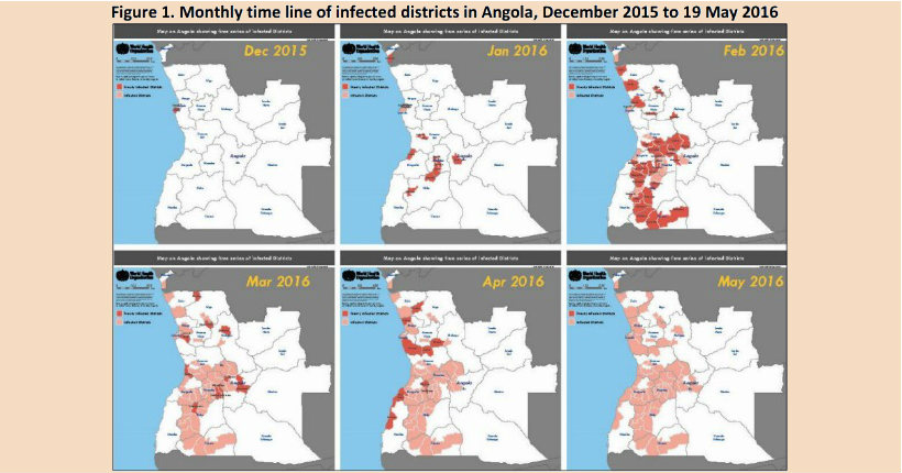 Yellow fever: Monthly timeline of infected districts in Angola, December 2015 to May 2016