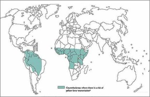 World map highlighting the geographical areas at risk of yellow fever transmission