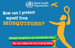 Zika infographic