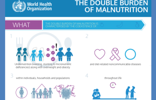 double burden malnutrition main page cover photo