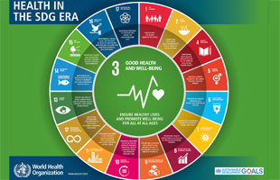 Infographic: Sustainable Development Goals (SDGs)