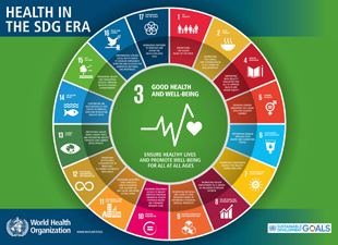 Sustainable Development Goals infographic